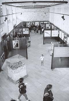 Figura 2 - Interno del Museo Speleologico F. Anelli (Foto G. Savino).