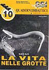 10 - La Vita Nelle Grotte